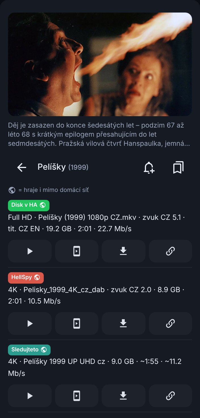 Detail filmu se streamy, nahoře soubor z vlastního úložiště